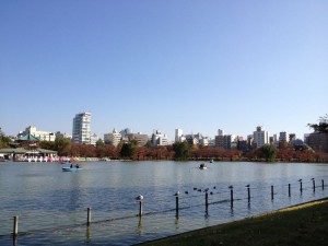 上野公園 不忍池（しのばずのいけ）