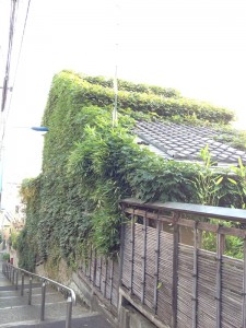 日無坂の日本家屋