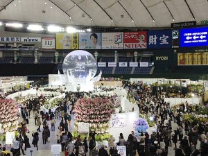世界らん展2015＠東京ドーム